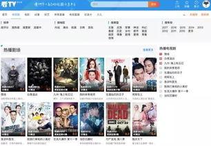 爆料华裔兄弟视频播放网站,热门爆料背后的故事  第1张